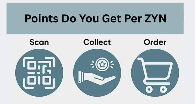 Points Do You Get Per ZYN